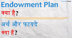 Endowment Plan Meaning in Hindi